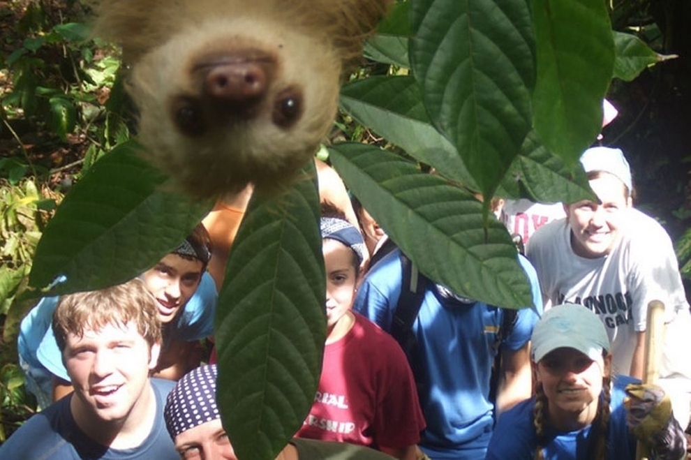 10. Un oso perezoso se asoma inesperadamente cuando un grupo de estudiantes se toma una foto en Costa Rica